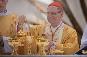 Beatyfikacja w Szkodrze